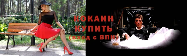 эйфоретик Осинники