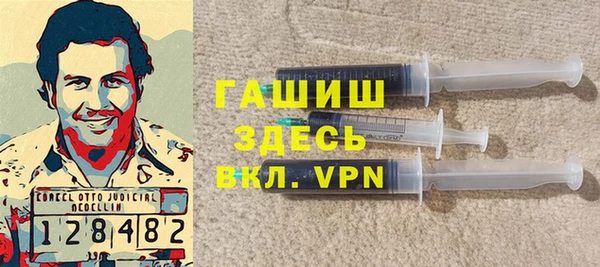 молекула духа Осташков