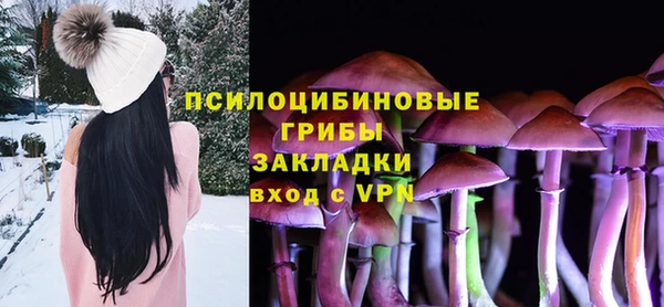 эйфоретик Осинники