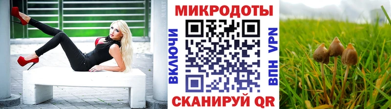 Галлюциногенные грибы Magic Shrooms  Ершов 