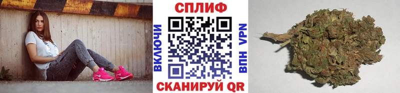 Бошки Шишки марихуана  shop состав  Ершов 